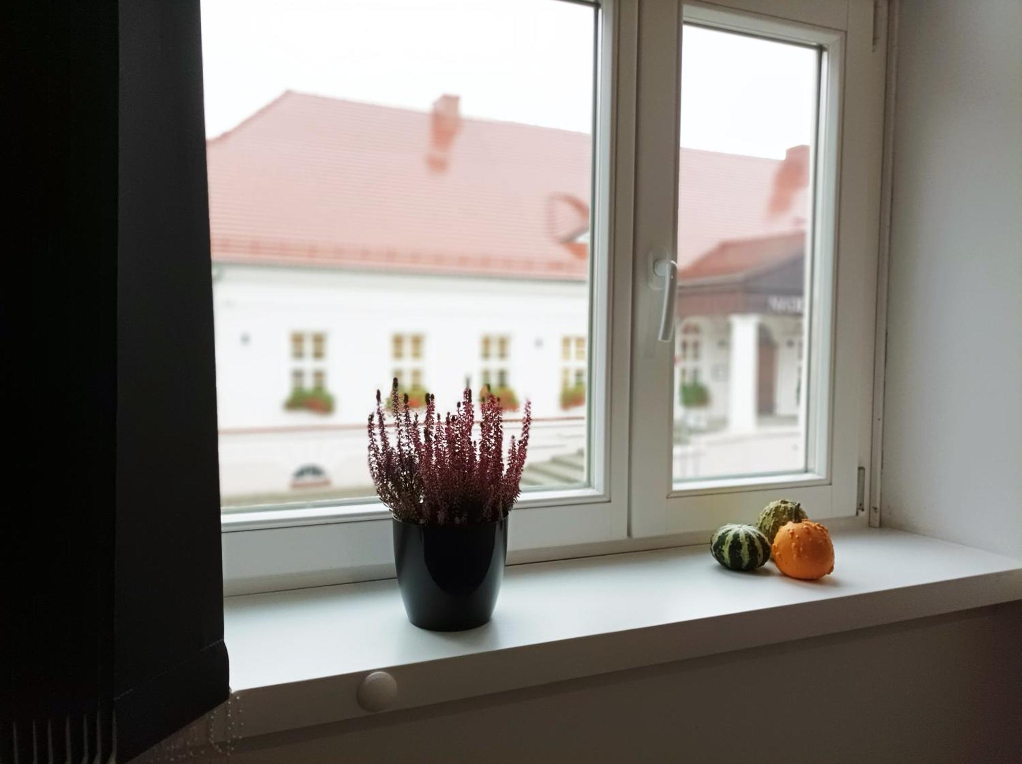 Pokoje Pod Palacem Koszecin 外观 照片